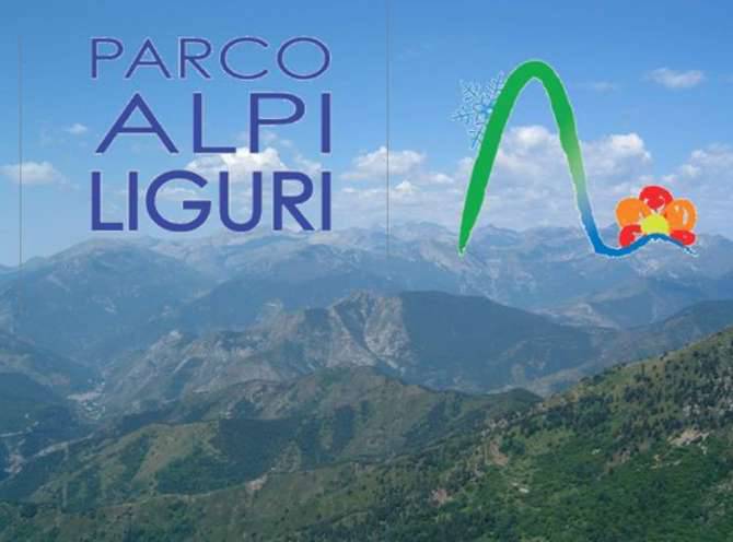 lavanda delle alpi liguri