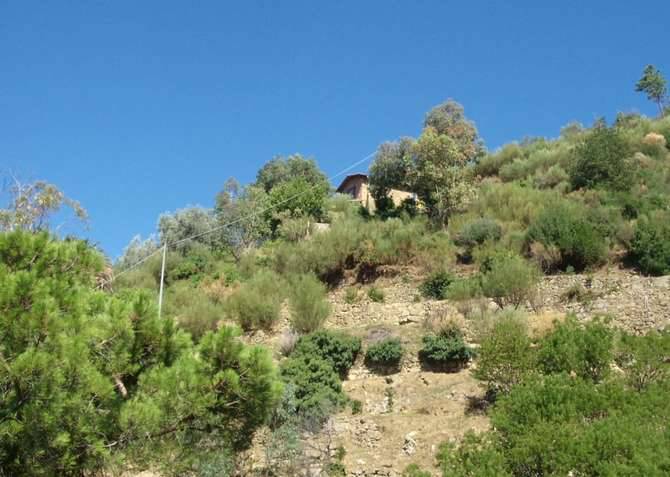 covo anarchici sasso bordighera