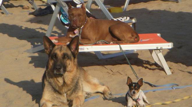 Arma Di Taggia Cè Una Spiaggia Libera Dove Si Possono