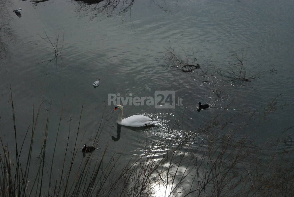 foce del fiume roja