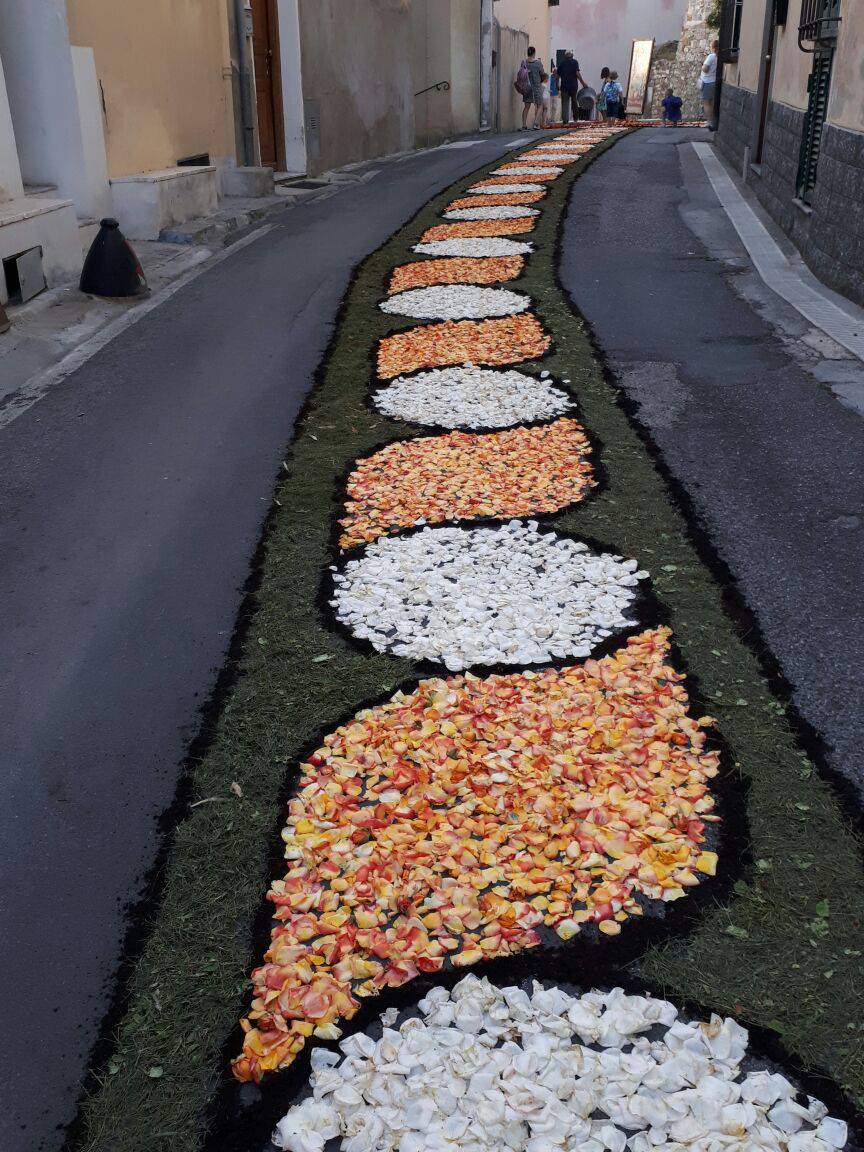 riviera24 - Infiorata del Corpus Domini 