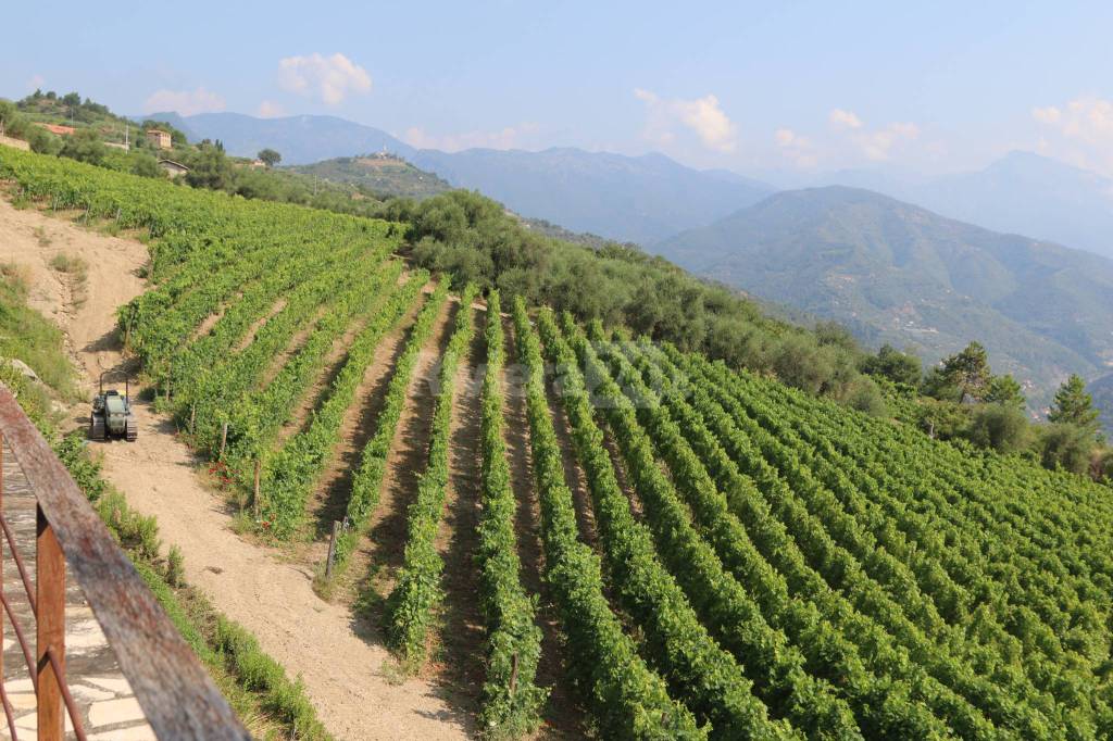 riviera24-Il futuro della Liguria è il turismo esperienziale: il convegno di CNA a Dolceacqua