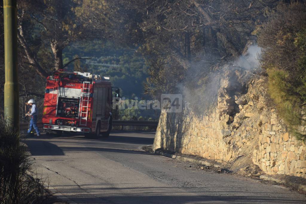 Fiamme domate Madonna Neve 