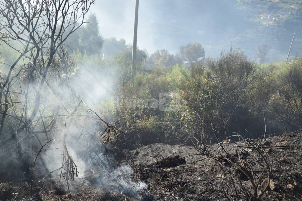 Fiamme domate Madonna Neve 