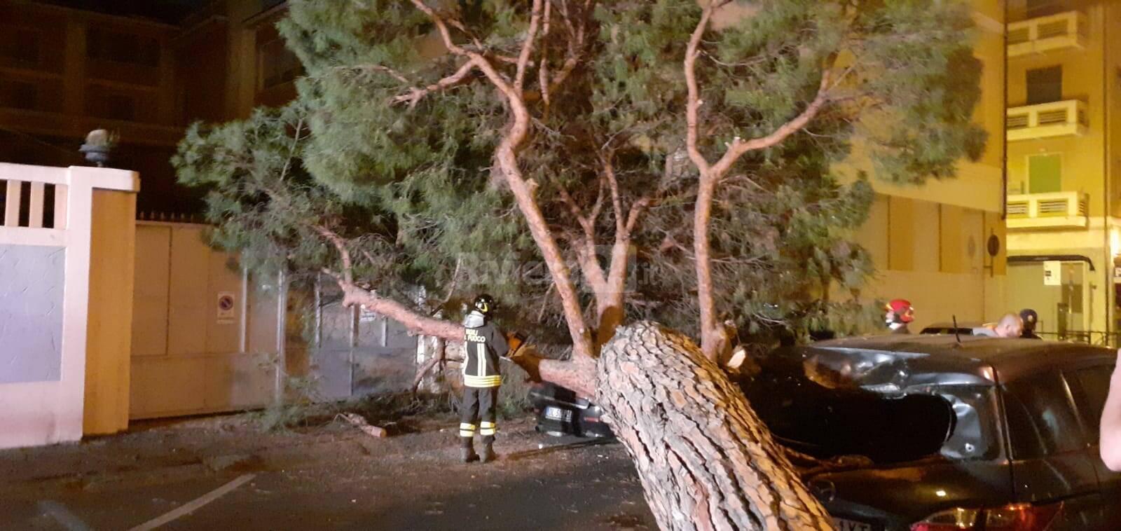 albero crollato sanremo