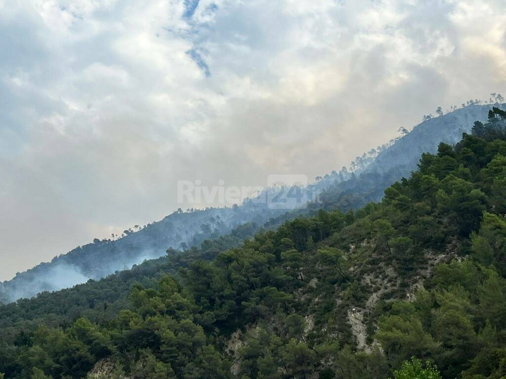 monte pozzo incendio