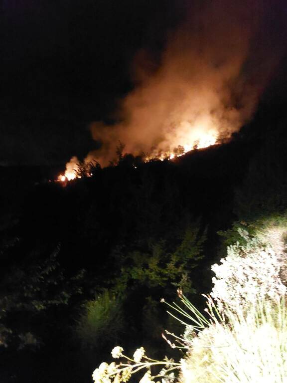 riviera24 - incendio boschivo prelà notturna