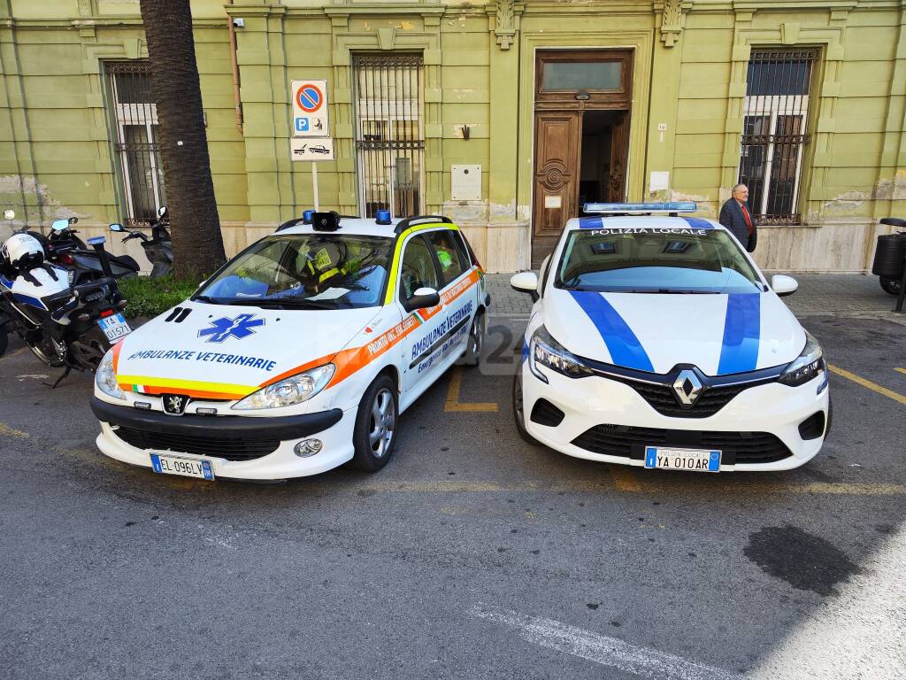 ambulanza veterinaria bordighera