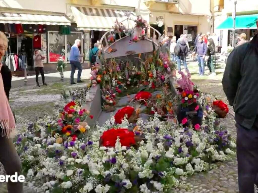 sanremo in fiore linea verde