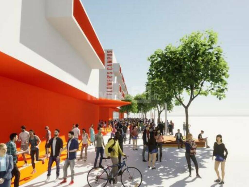 rendering mercato dei fiori polo scolastico