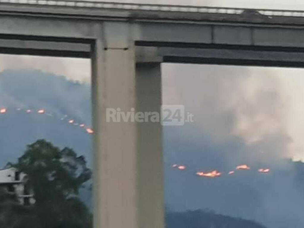 incendio olivetta