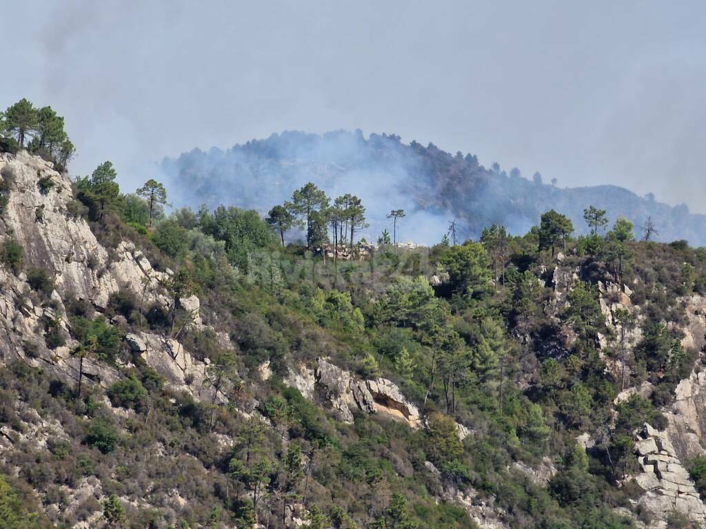 Riviera24- incendio Olivetta San Michele