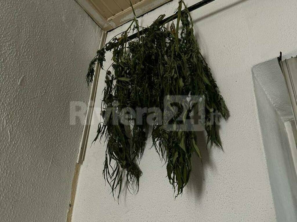 sequestro droga ventimiglia