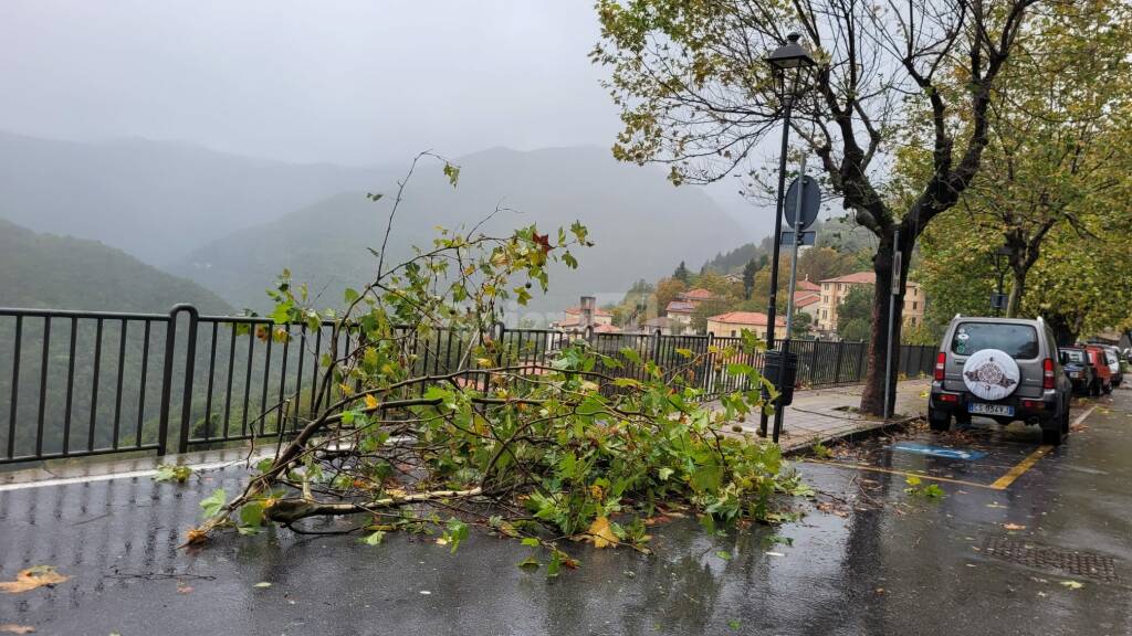 Triora albero cade su centro rifugiati