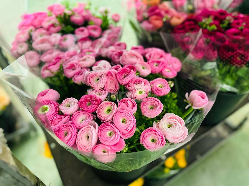 Asta dei fiori al mercato di Sanremo direttore Barbagelata