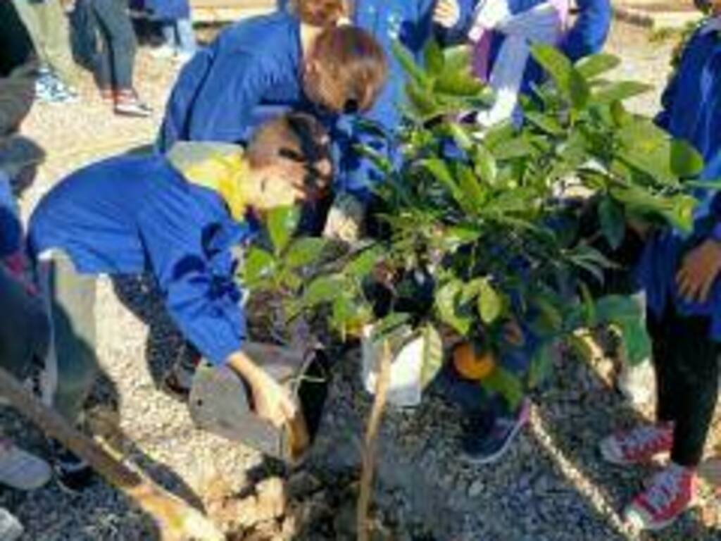 scuola de amicis ospedaletti gioranta dell'albero