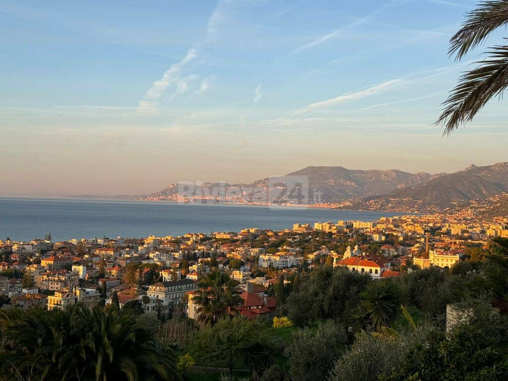 bordighera generica