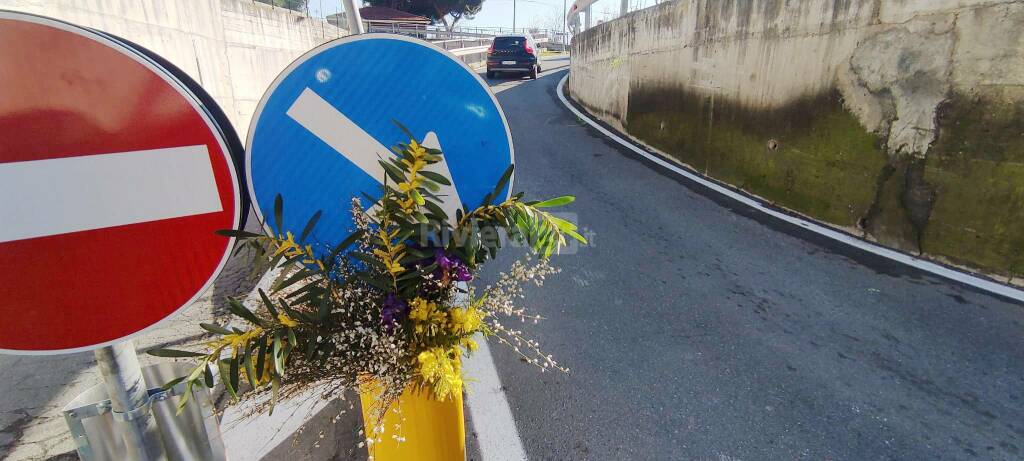 fiori studenti investiti bussana