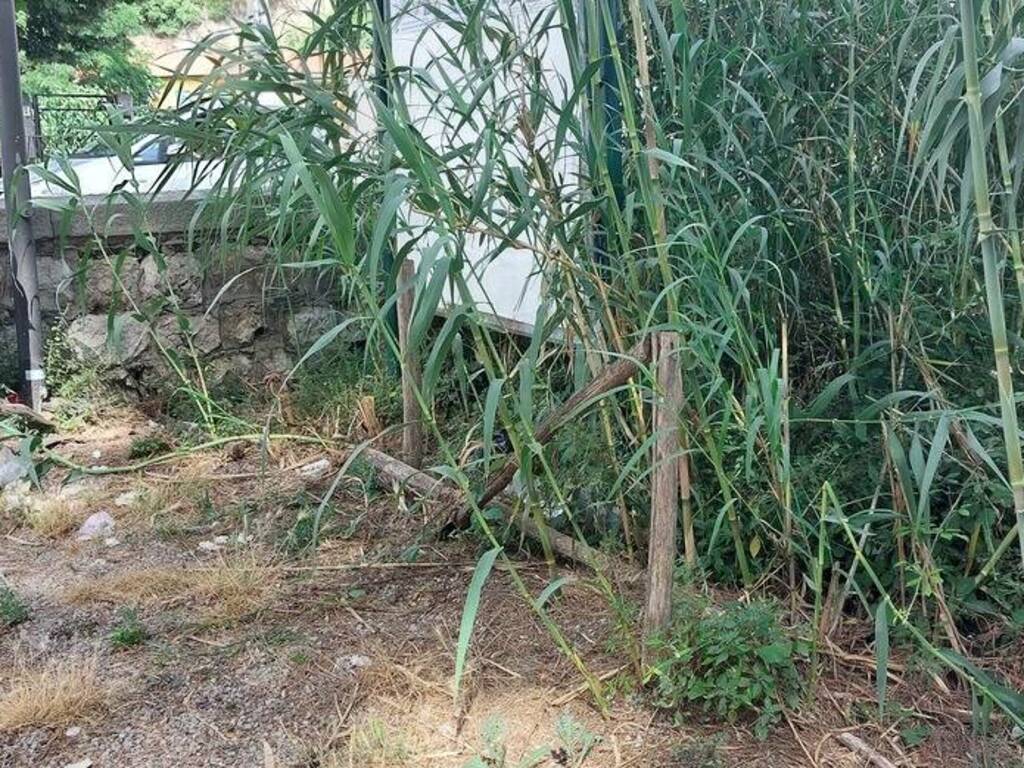 ventimiglia comitato latte sporcizia